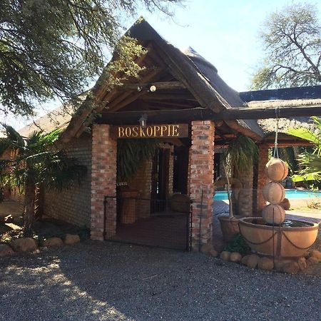 Boskoppie Lion & Tiger Reserve Kroonstad Eksteriør billede