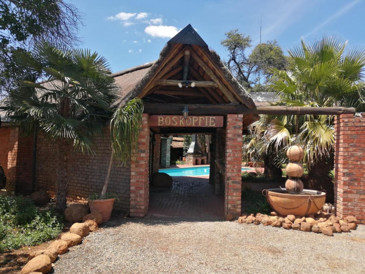 Boskoppie Lion & Tiger Reserve Kroonstad Eksteriør billede
