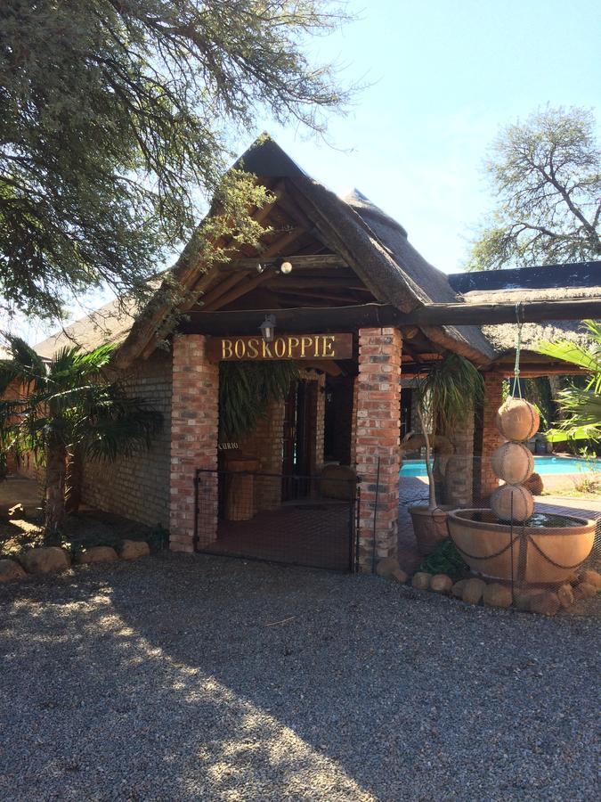 Boskoppie Lion & Tiger Reserve Kroonstad Eksteriør billede